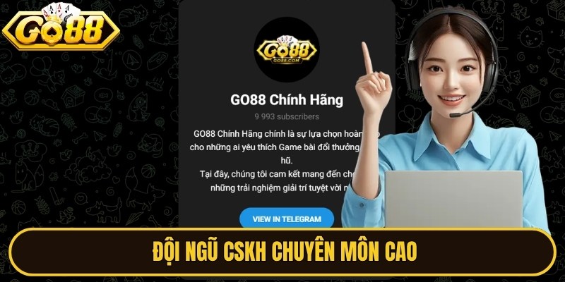 Đội ngũ CSKH chuyên môn cao